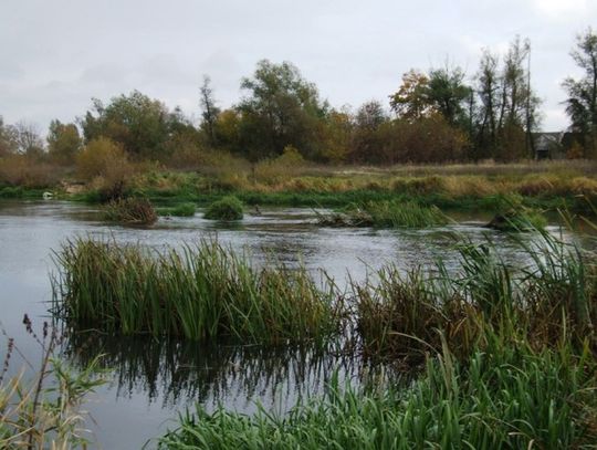 Zagłosuj na projekt &quot;Pilica rzeka tajemnic&quot;
