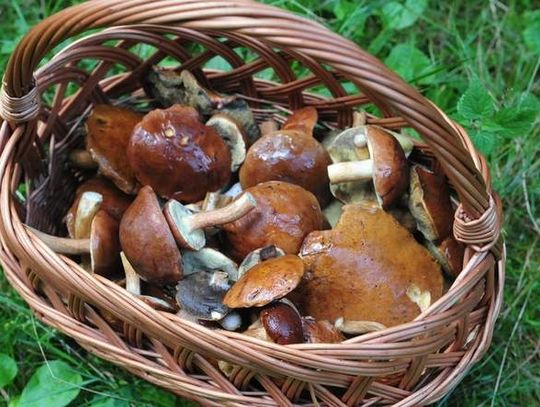 Zagrożenie w ruchu drogowym a Policja przejeżdża i nie reaguje