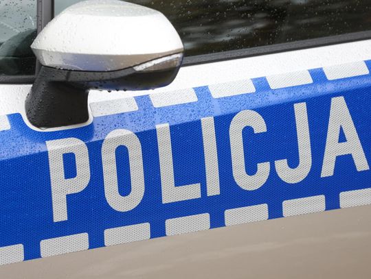 Zagubiły się na grzybobraniu