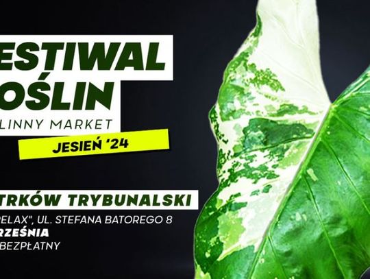 Zapraszamy na Festiwal Roślin Ozdobnych