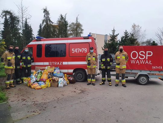 Zbiórka zorganizowana przez strażaków z Wąwału zakończyła się sukcesem 