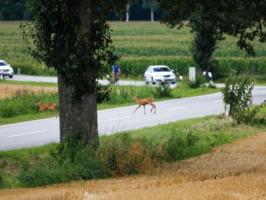 Zderzenie może skończyć się tragicznie