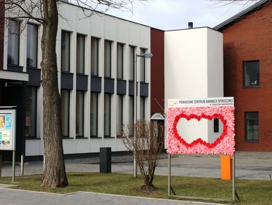 Ździebełko ciepełka w PCAS