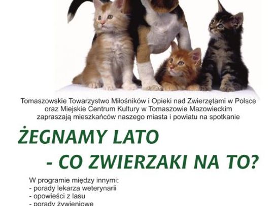 ŻEGNAMY LATO-CO ZWIERZAKI NA TO