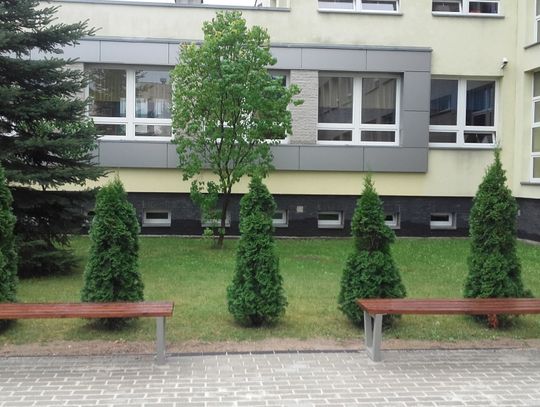 Zielone zmiany przed szkołą