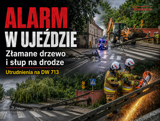 Złamane drzewo i słup energetyczny zablokowały drogę wojewódzką nr 713 w Ujeździe