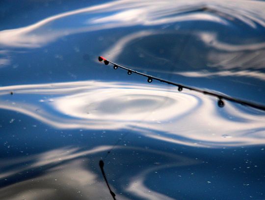 Złowił 4 kilogramy ryb i zajął pierwsze miejsce
