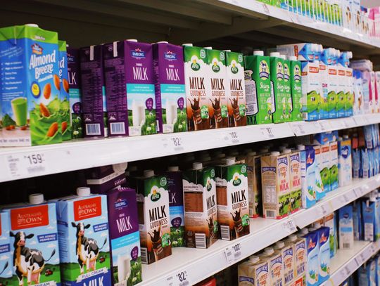 Znakowanie żywności – jakie informacje muszą znaleźć się na etykiecie zgodnie z przepisami?