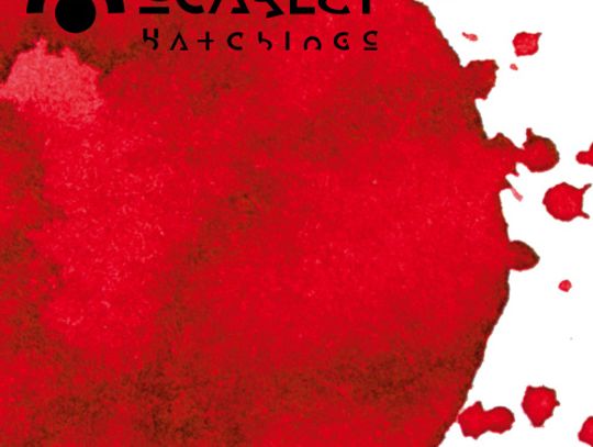 Zszyty metalowymi nićmi