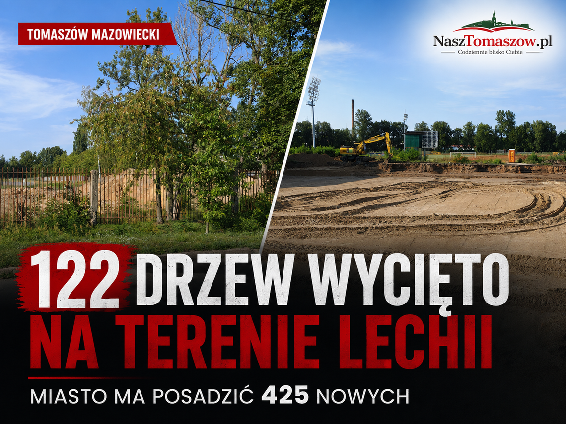 122 drzewa wycięto na terenie Lechii. Miasto ma posadzić 425 nowych 122 drzewa wycięto na terenie Lechii. Miasto ma posadzić 425 nowych