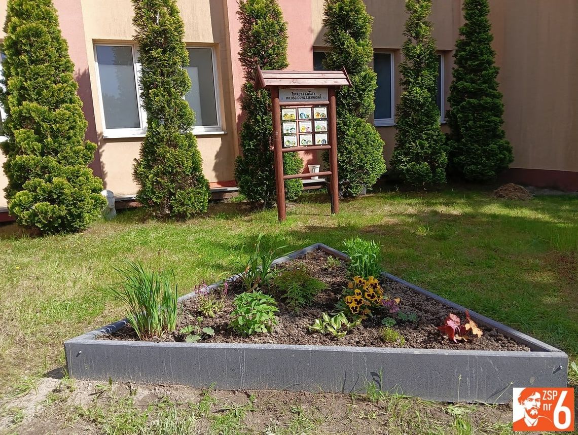 83 410 zł dotacji na „Ogrody Wyspiańskiego” w ZSP 6