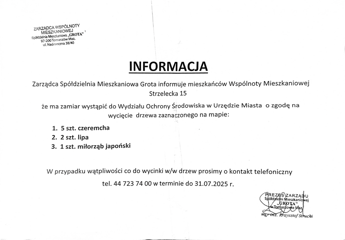 A tymczasem na Strzeleckiej. Mieszkańcy nie chcą wycinki drzew - komentarz Urzędu Miasta