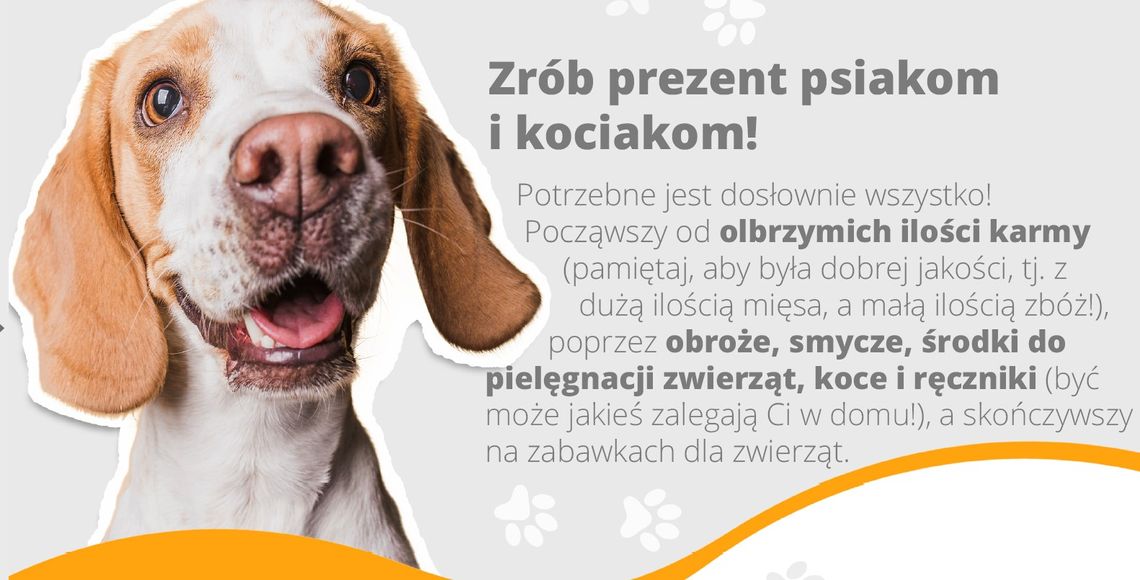Akcja #ZoodoptujMobilizuje dotarła do Tomaszowa Mazowieckiego!