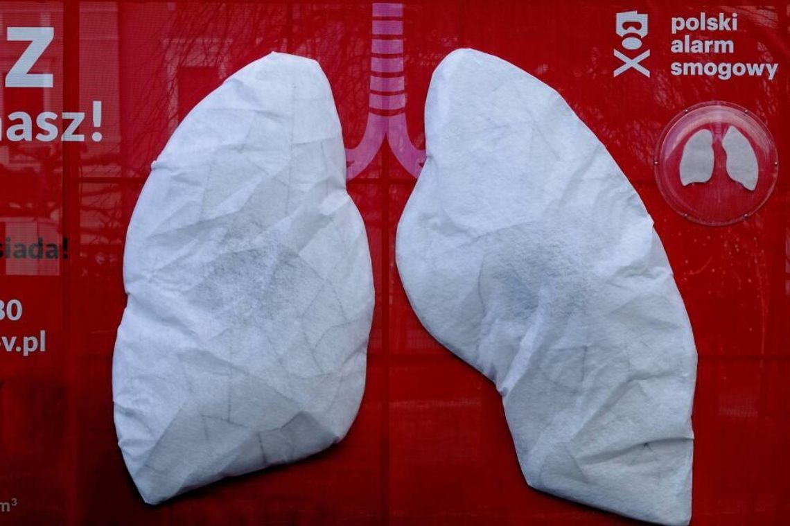 Alarm Smogowy: w Polsce wciąż oddychamy bardzo zanieczyszczonym powietrzem