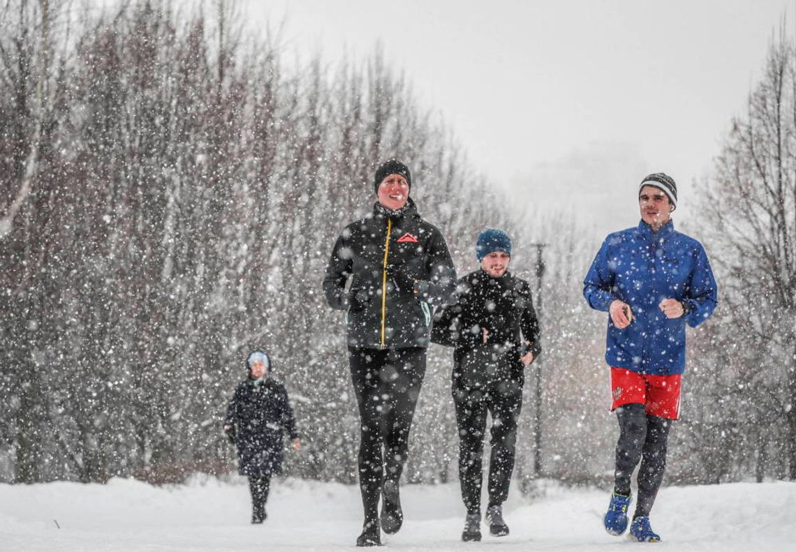 Amatorzy sportu mają na starość więcej komórek macierzystych