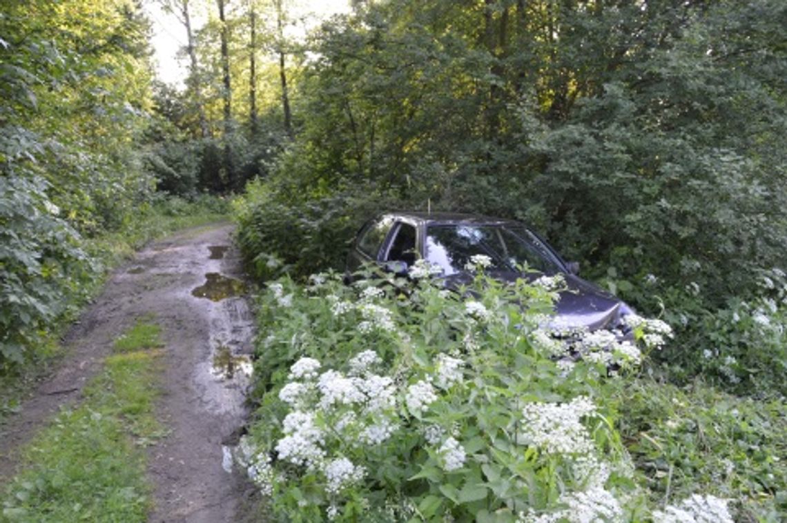 Auto schował w krzakach