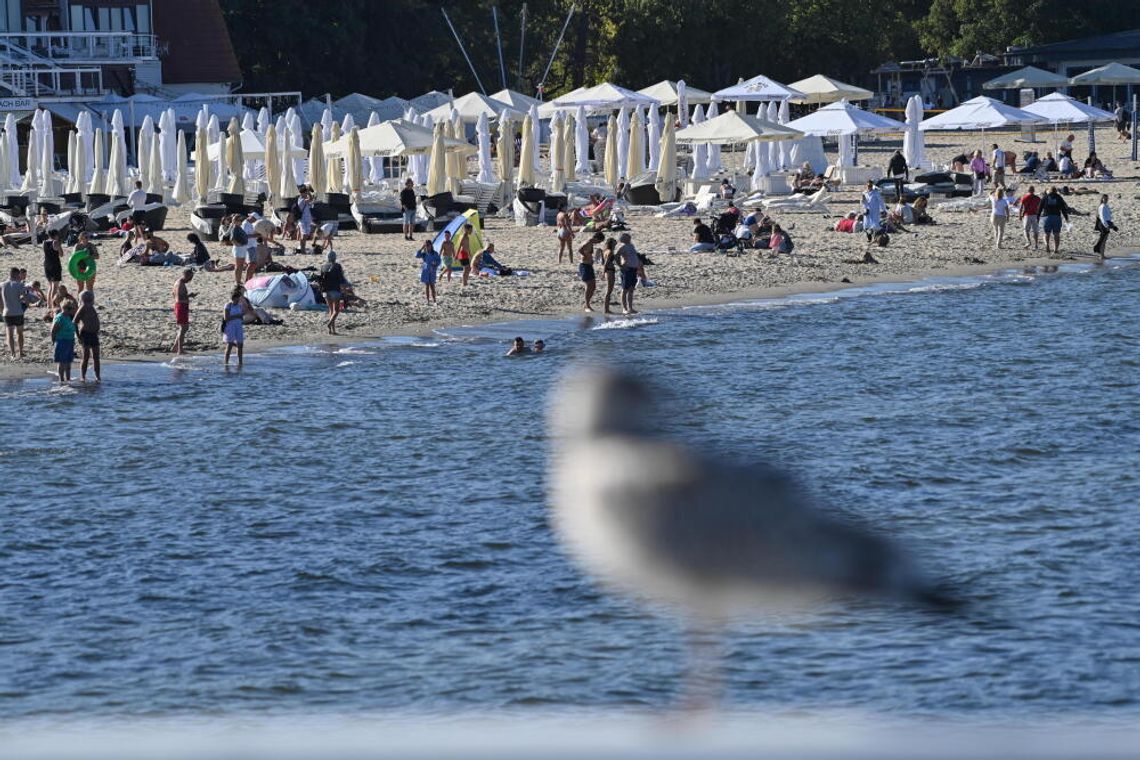 Badanie: wyjazd na tegoroczne wakacje planuje 73 proc. Polaków; to o 3 punkty procentowe więcej niż w 2024 r. Badanie: wyjazd na tegoroczne wakacje planuje 73 proc. Polaków; to o 3 punkty procentowe więcej niż w 2024 r.