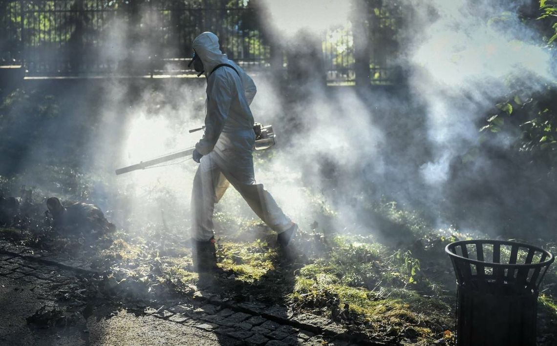 Biolog: opryski przeciwko komarom i kleszczom to nie jest rozwiązanie