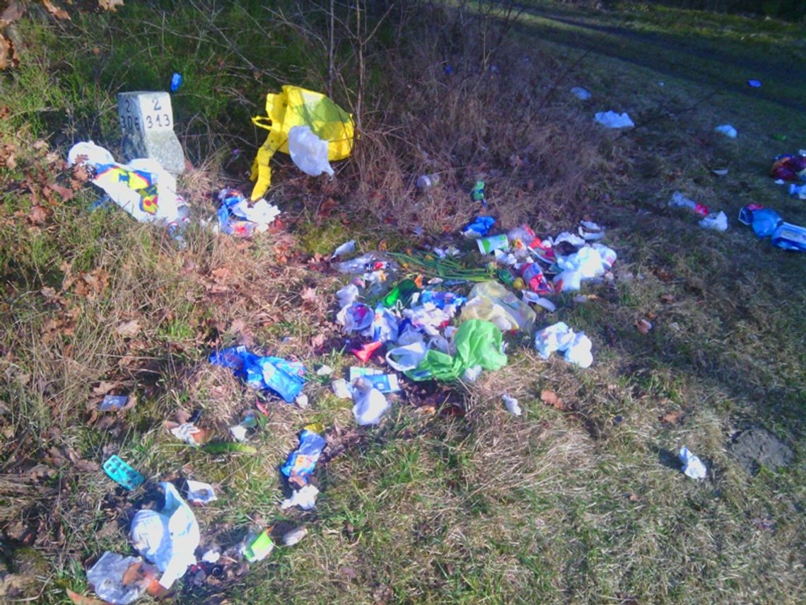 Bo łatwiej jest wywieźć do lasu?