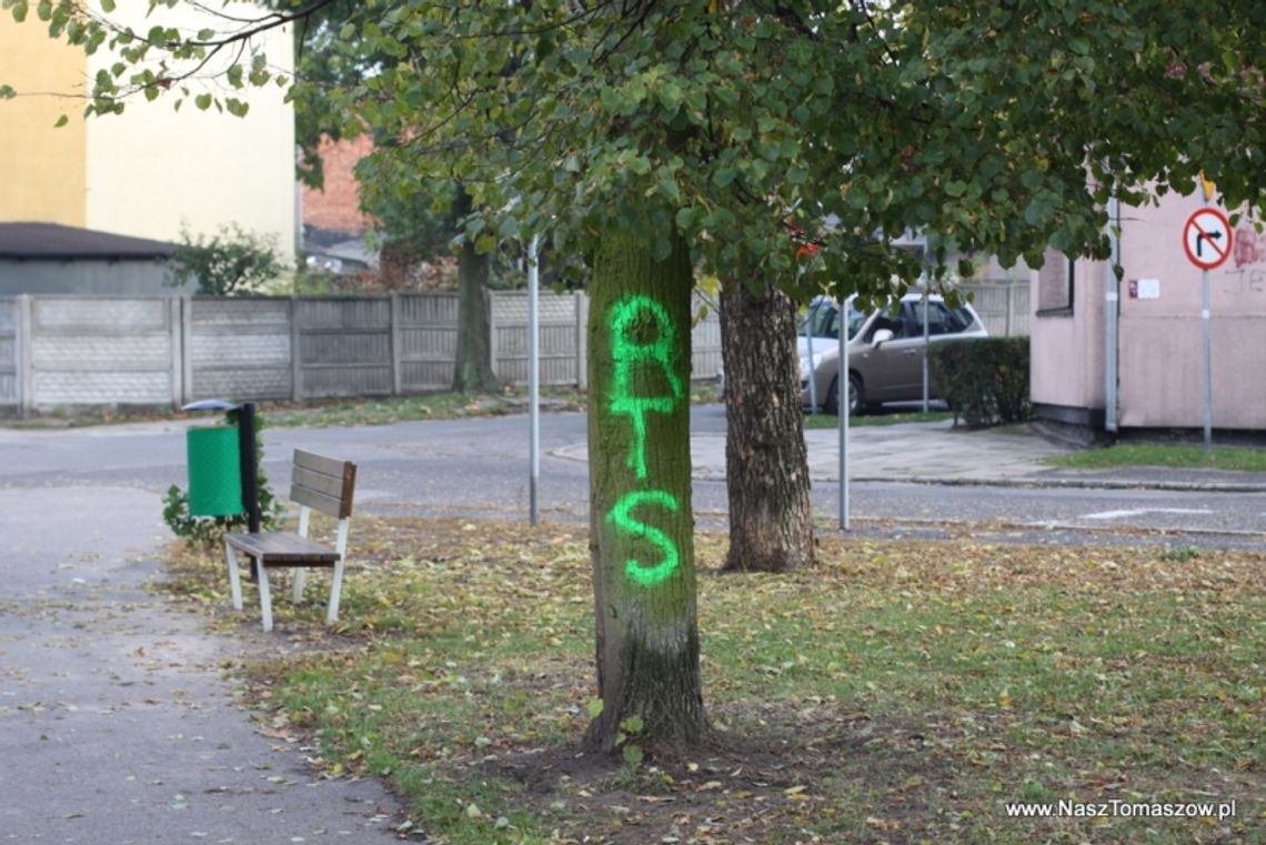 Bo tak podpowiada psi instynkt