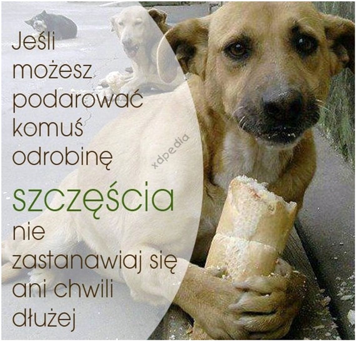 Ci z „Dziesiątki” widzą i czują