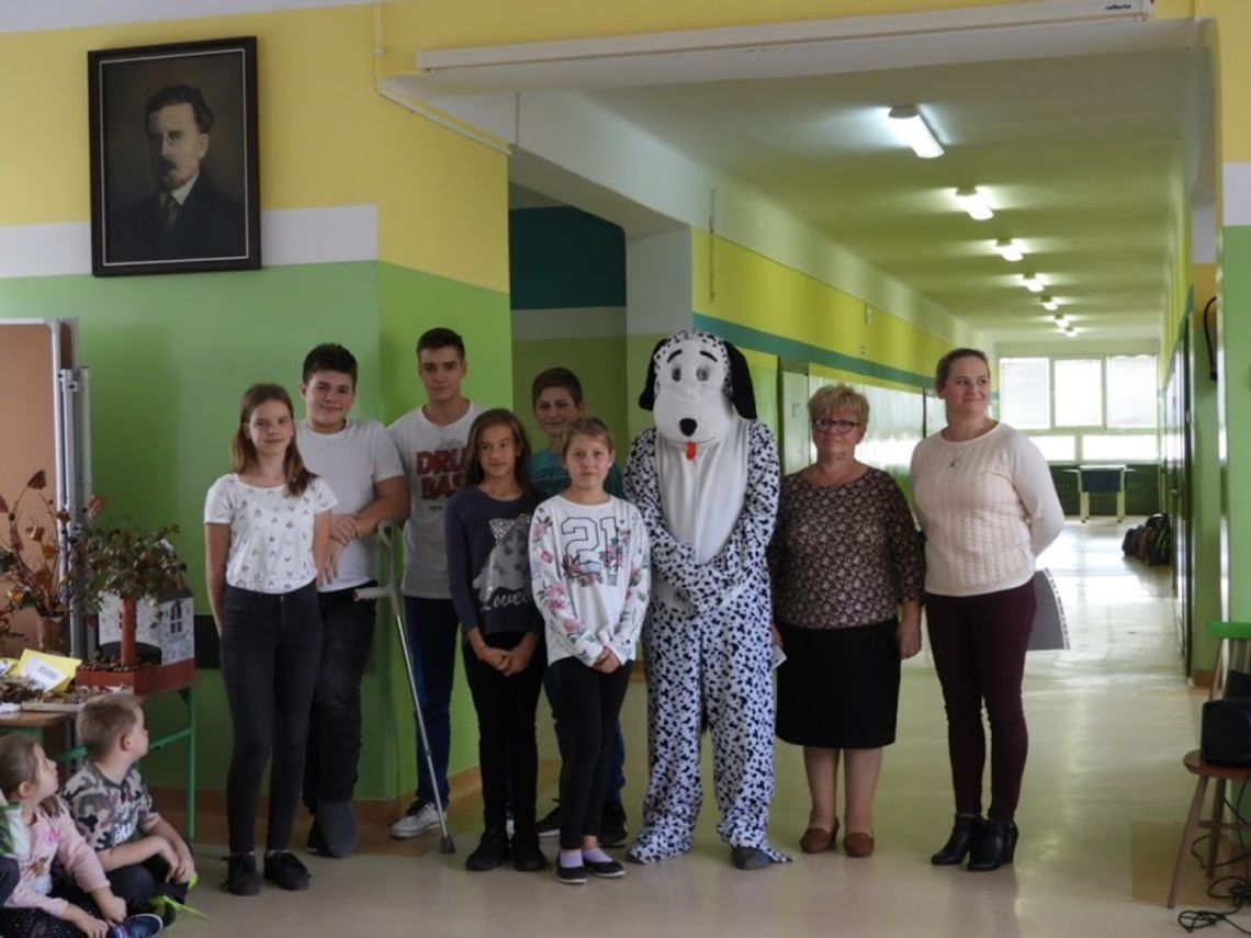 Ciapek w Rokicinach Ciapek w Rokicinach