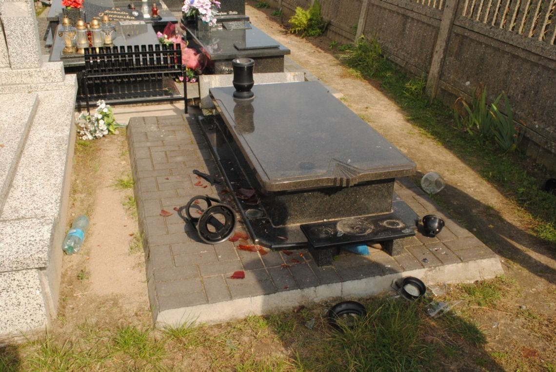 Cmentarne hieny w akcji