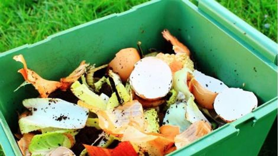 Co czwarty Polak wyrzuca jedzenie. Do kosza trafiają głównie owoce i warzywa