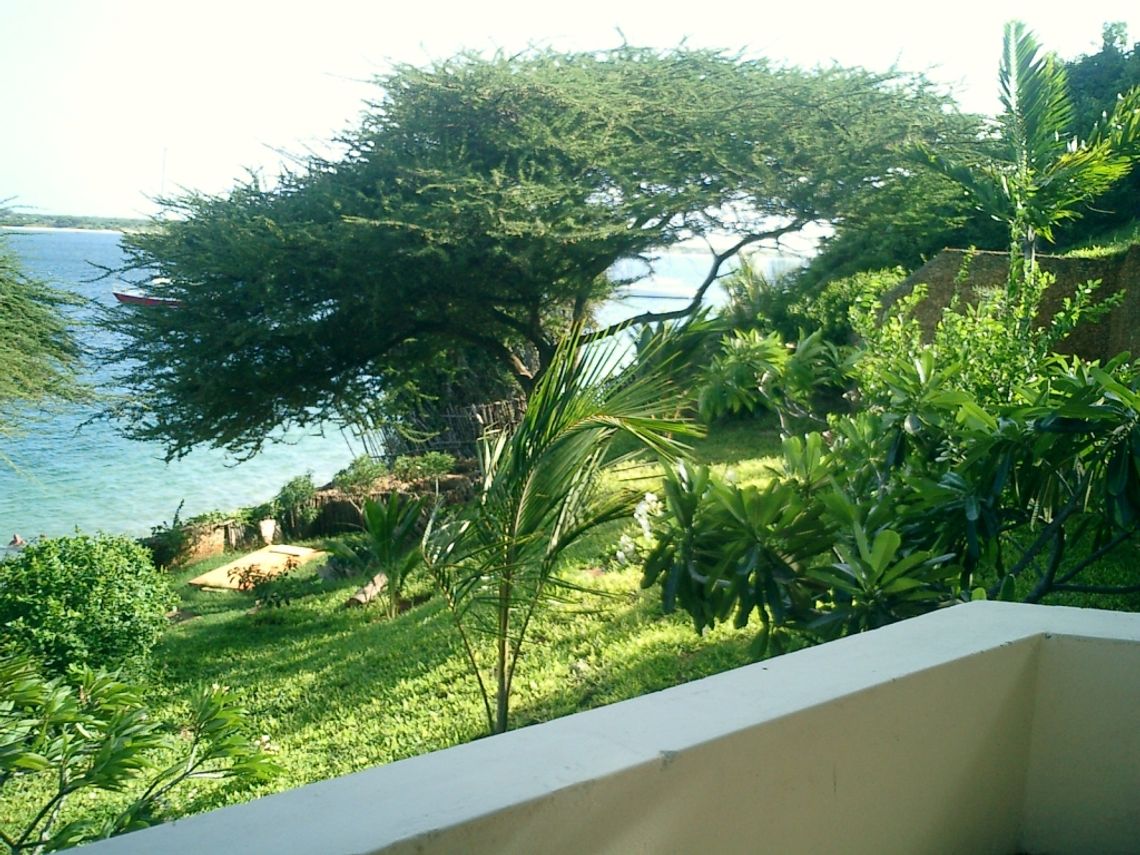 Czy myśleli Państwo o egzotycznym wypoczynku ?? Czy myśleli Państwo o egzotycznym wypoczynku ??