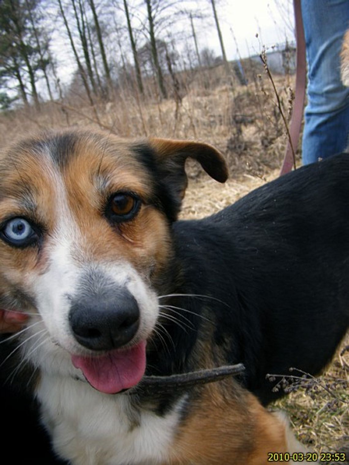 Czy te oczy mogą kłamać Czy te oczy mogą kłamać