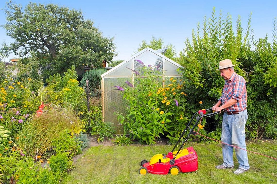 Dotacje dla ogródków działkowych