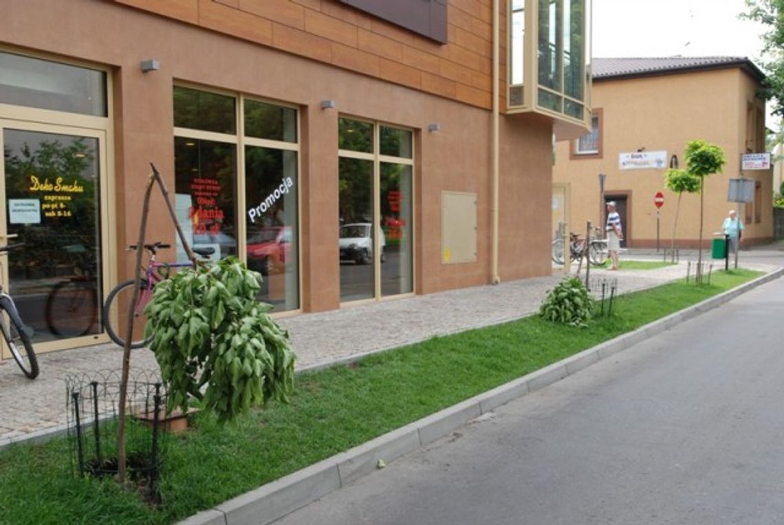 Drzewkołamacz zatrzymany