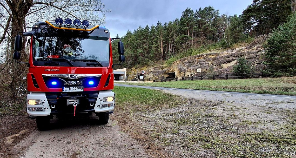 Drzewo runęło przy ścieżce do grot nagórzyckich. Interweniowała OSP Drzewo runęło przy ścieżce do grot nagórzyckich. Interweniowała OSP