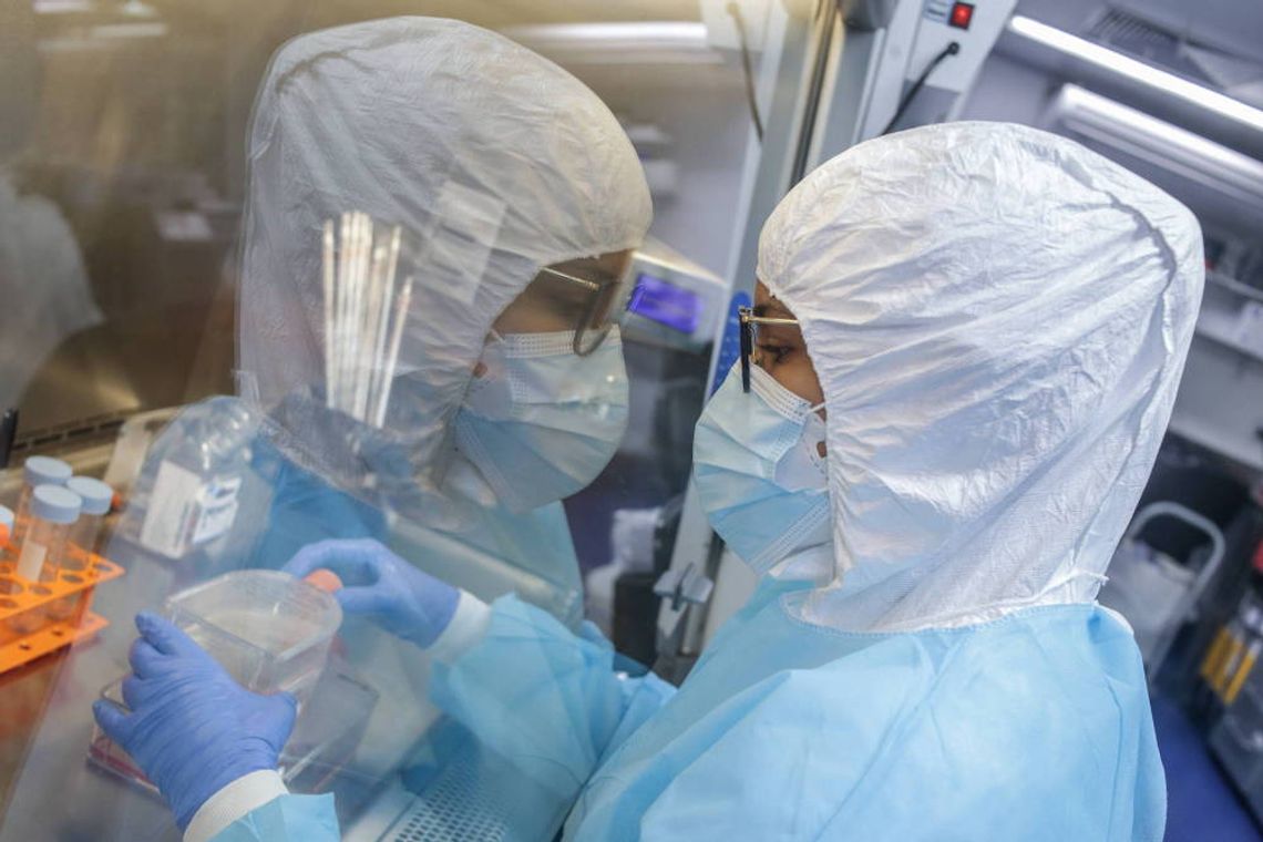Dwa lata od wybuchu pandemii Covid-19 wciąż nie wiadomo, skąd wziął się koronawirus