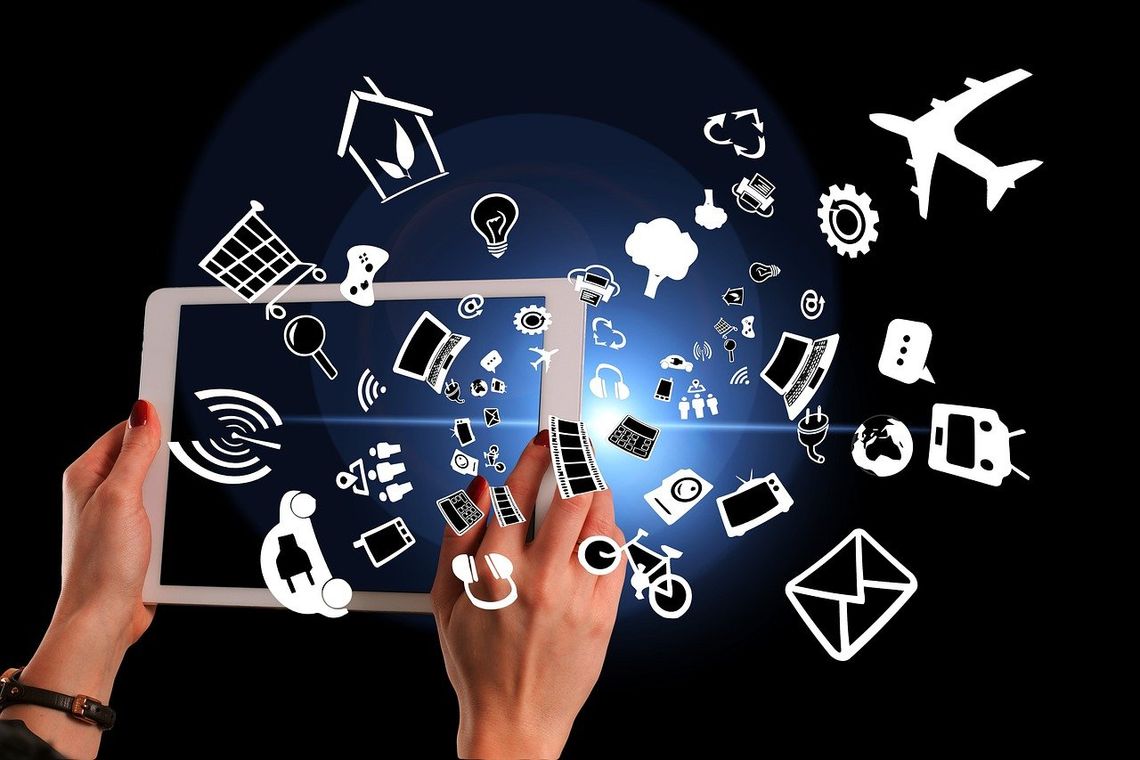 Dzień Bota co roku obchodzimy 10 grudnia. W 2025 roku przypada w środę Dzień Bota co roku obchodzimy 10 grudnia. W 2025 roku przypada w środę