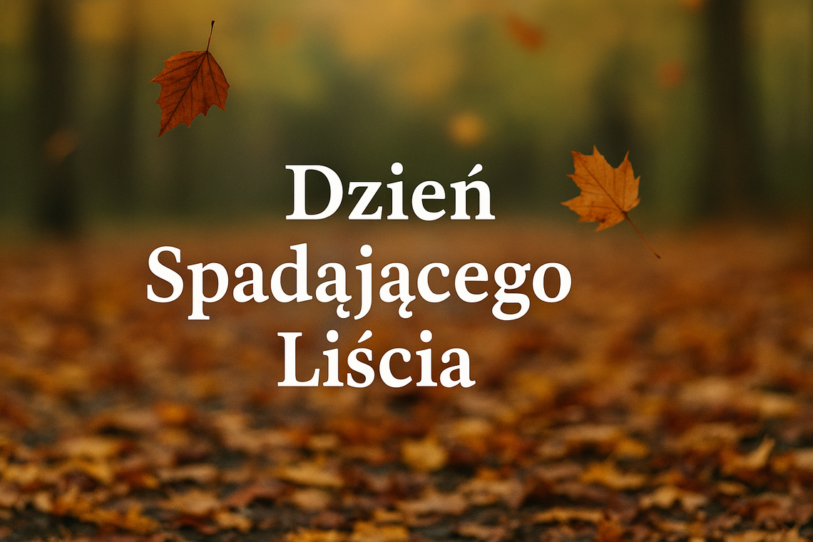 Dzień Spadającego Liścia — święto grawitacji, gracji i grabienia