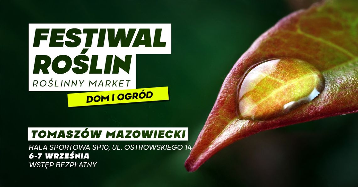 Festiwal Roślin w Tomaszowie Mazowieckim – wracamy po wakacyjnej przerwie! 🌿