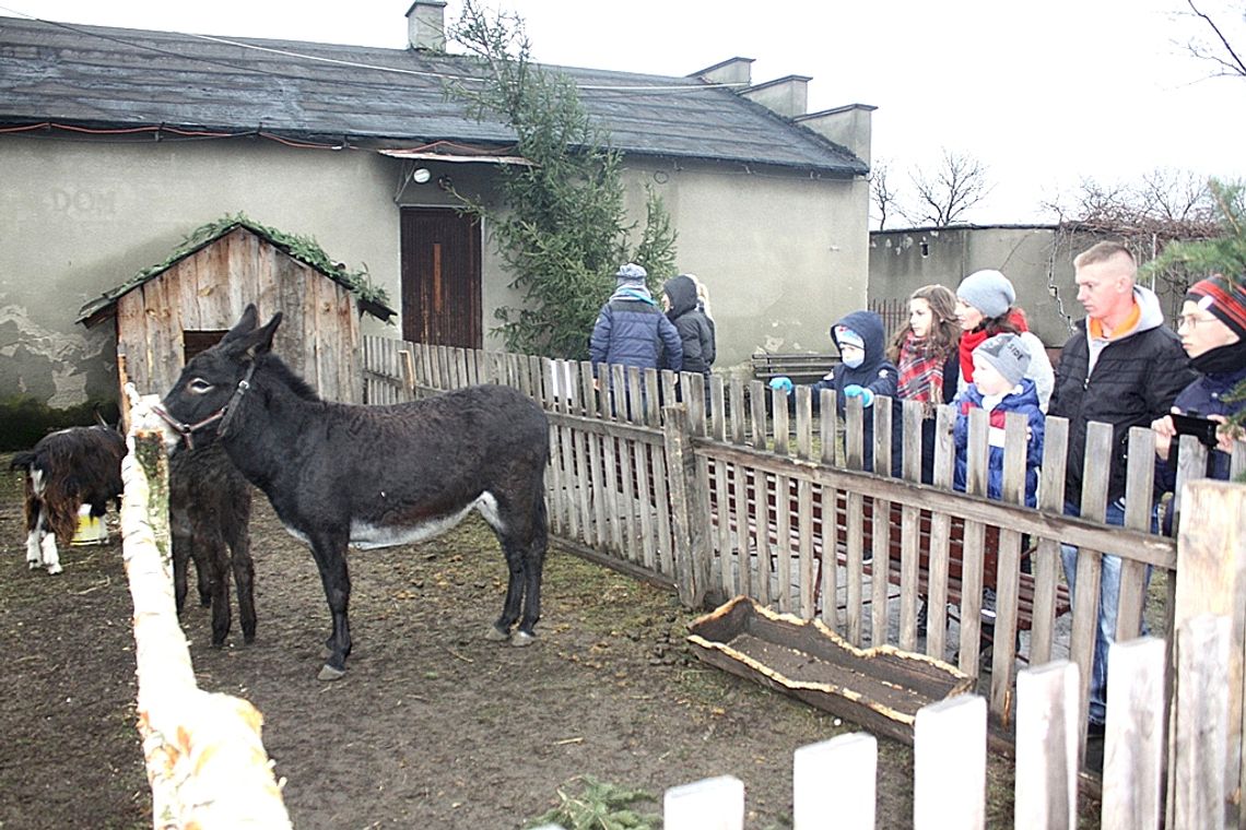 (FOTO) Żywa szopka przy parafii Najświętszego Serca Jezusowego