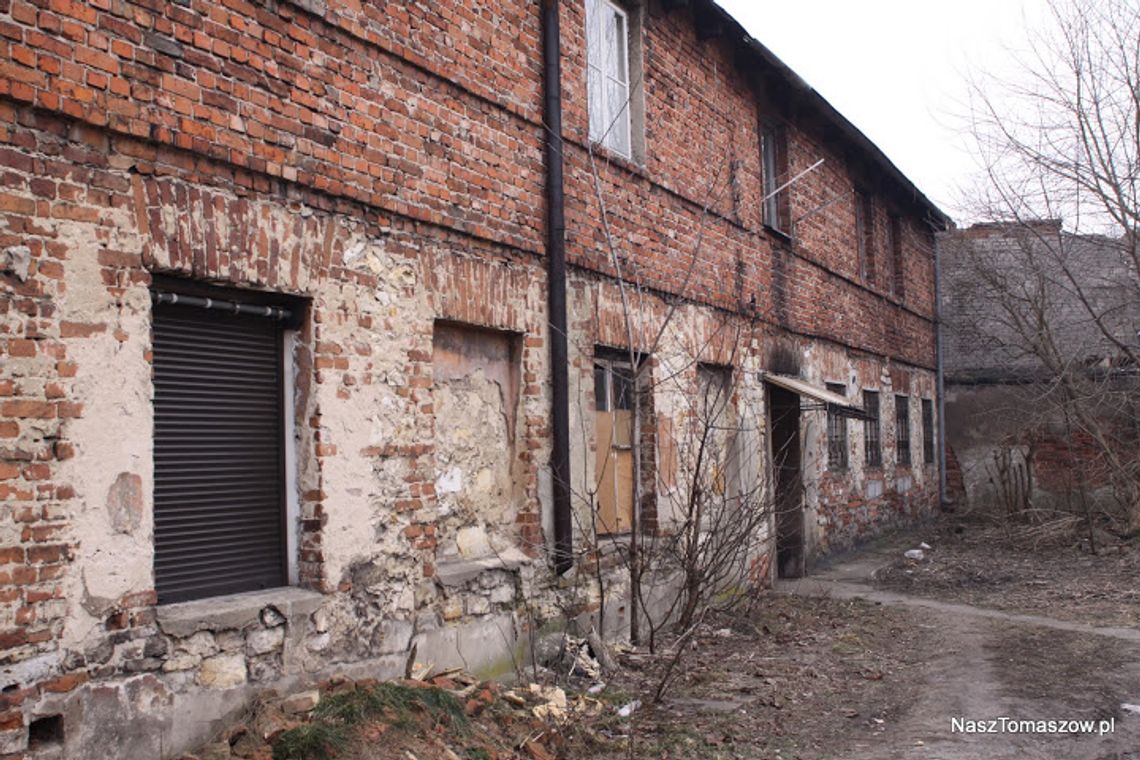 Galerianki i Galernicy