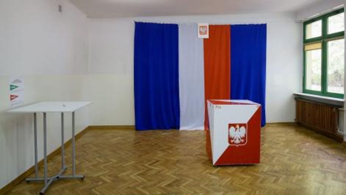 Głosujemy sercem czy głową?