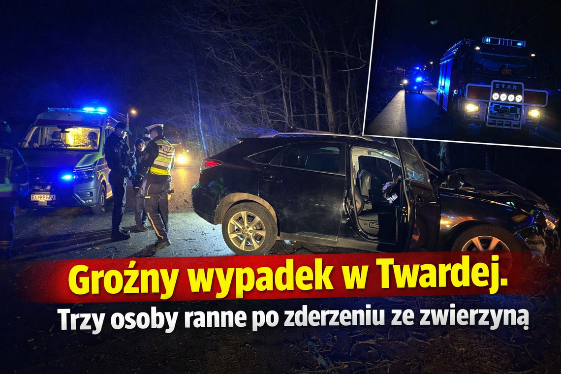 Groźny wypadek w Twardej. Trzy osoby ranne po zderzeniu ze zwierzyną