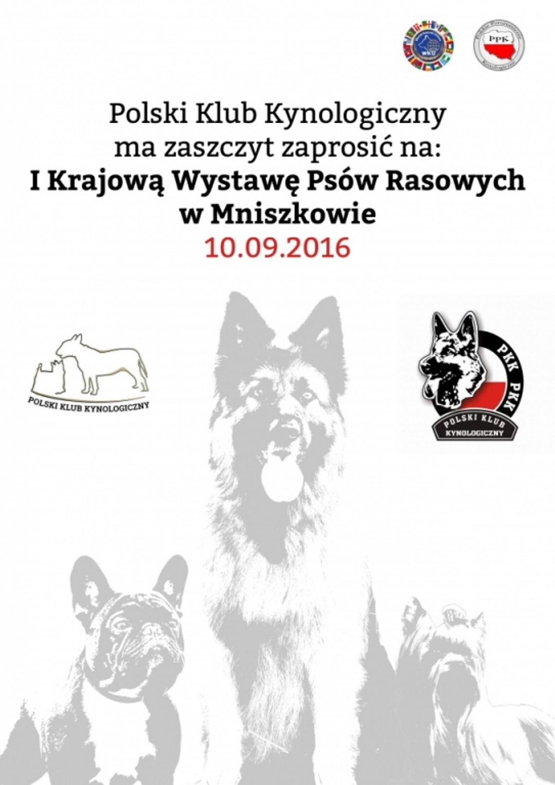 I Krajowa Wystawa Psów Rasowych w Mniszkowie I Krajowa Wystawa Psów Rasowych w Mniszkowie
