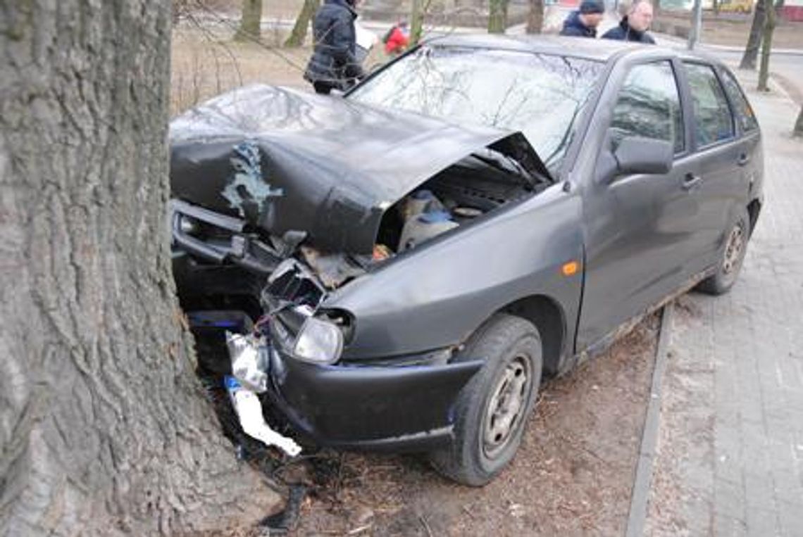 Ibiza wbiła się w drzewo