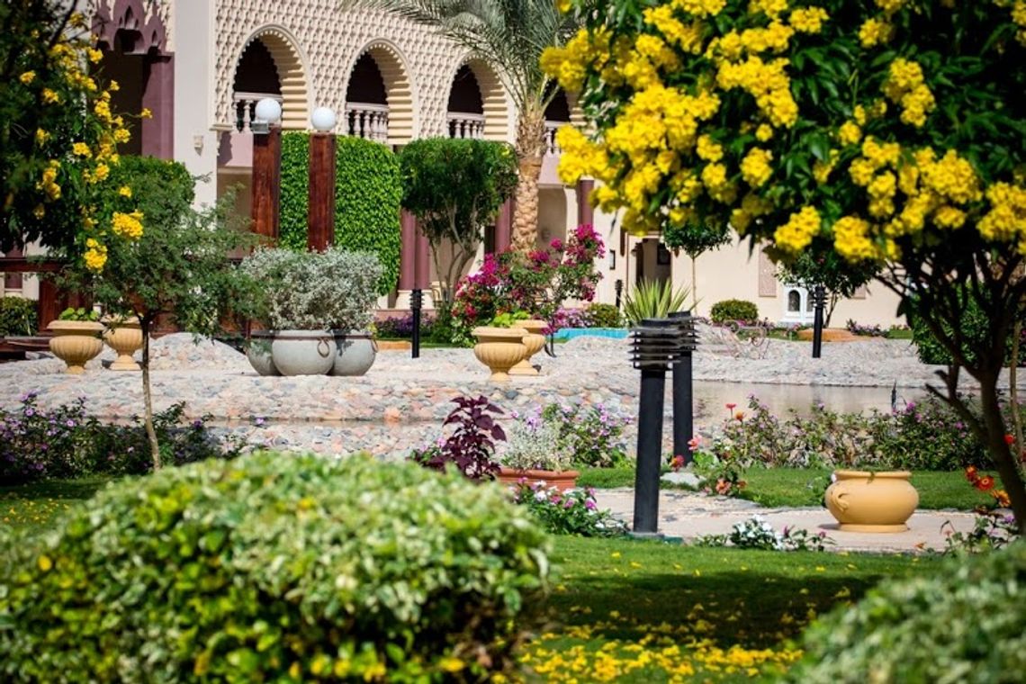 Jak to jest z tym Egiptem