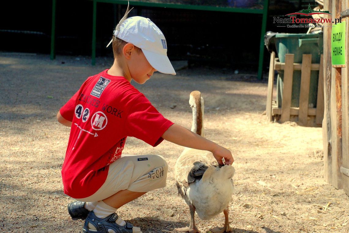 Jak znaleźć małe zoo dla dzieci w okolicach Łodzi Jak znaleźć małe zoo dla dzieci w okolicach Łodzi