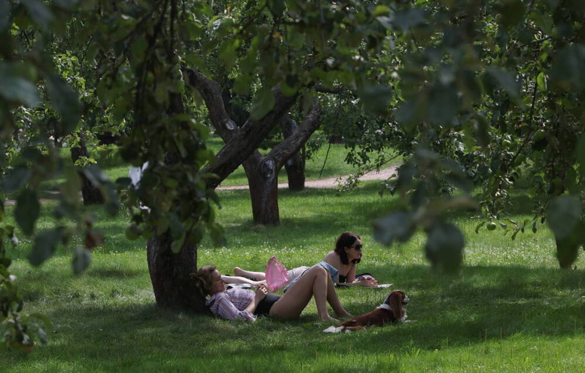 Już 15 minut na łonie przyrody wspiera psychikę