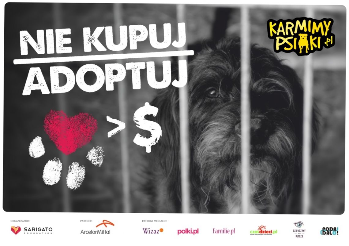 Kampania społeczna „Nie kupuj – adoptuj”