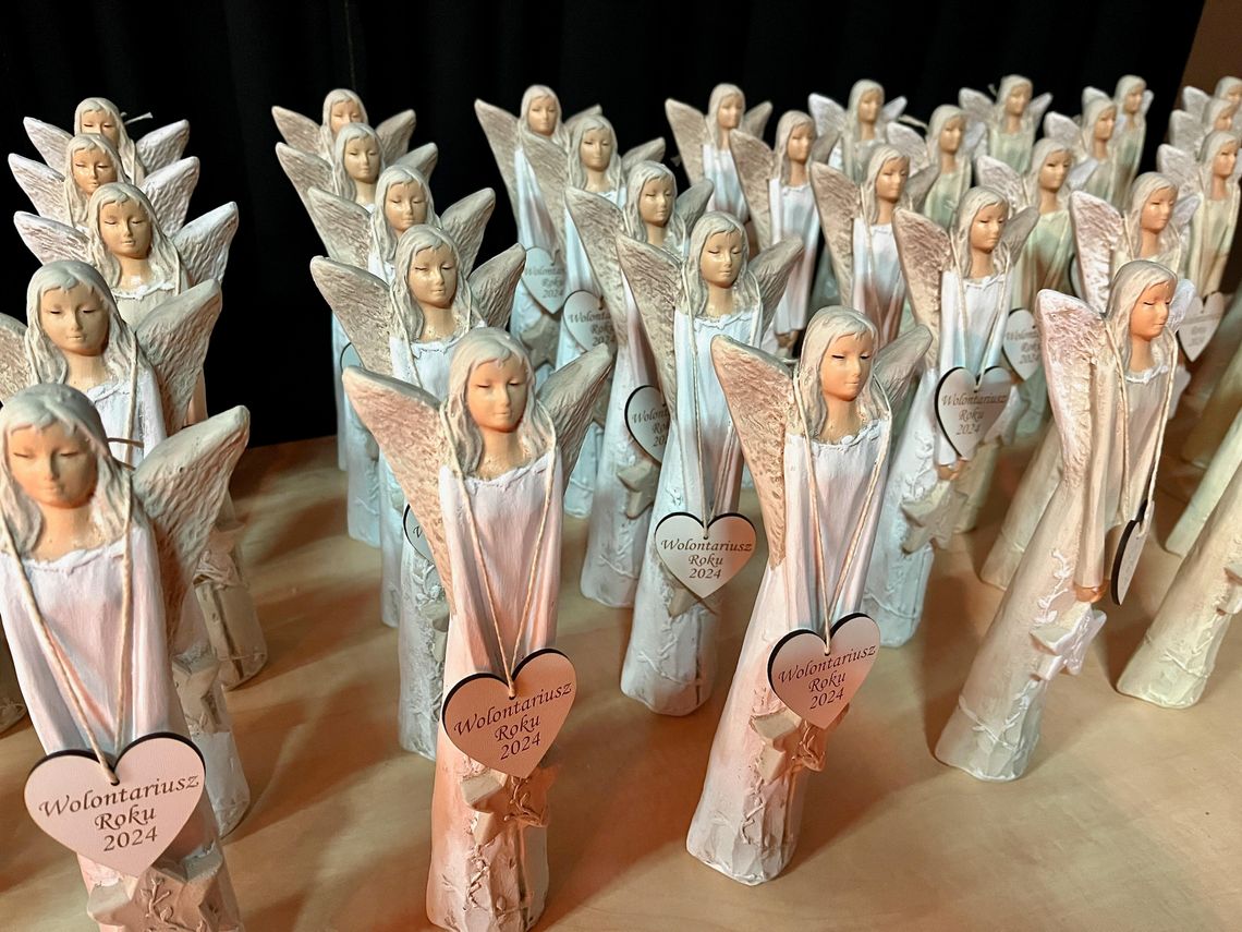 Kolejna edycja konkursu „Wolontariusz Roku 2025” Kolejna edycja konkursu „Wolontariusz Roku 2025”