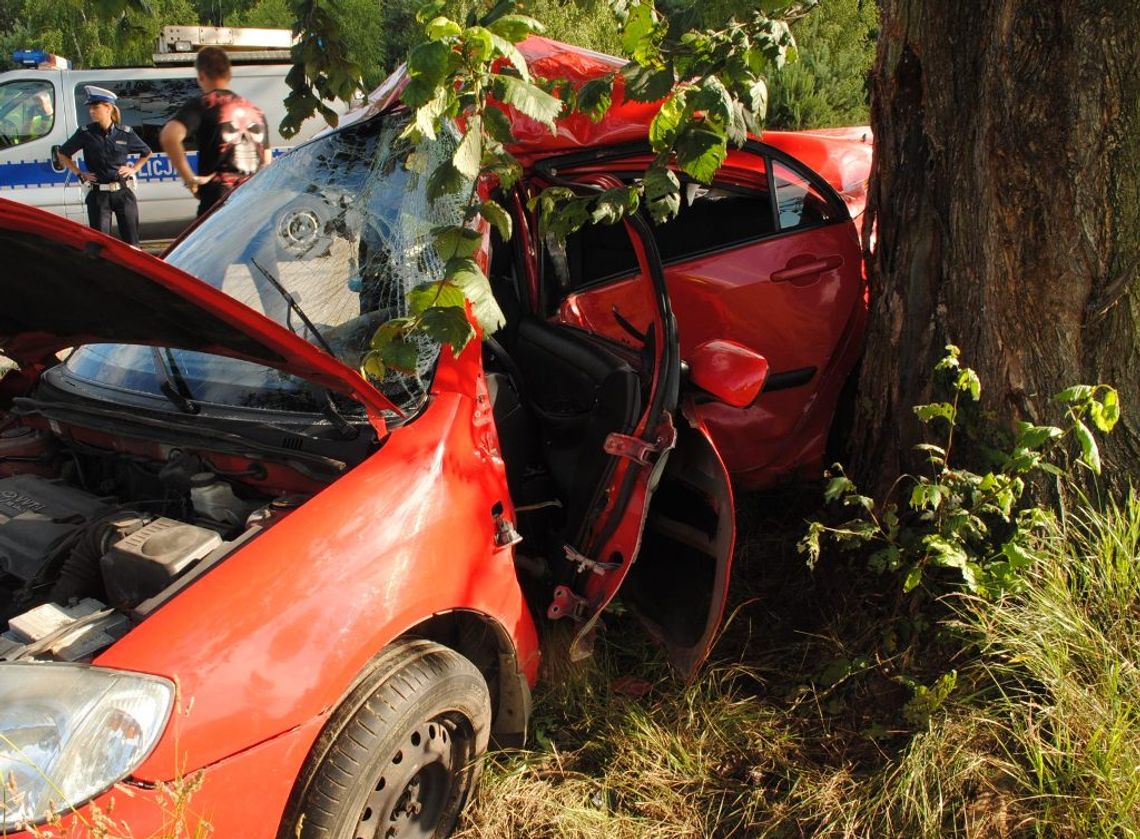 Kolejna śmierć na drodze. Tym razem w okolicach Żelechlinka