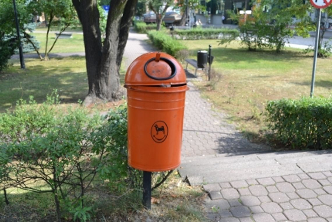 Kosze tam gdzie chcesz